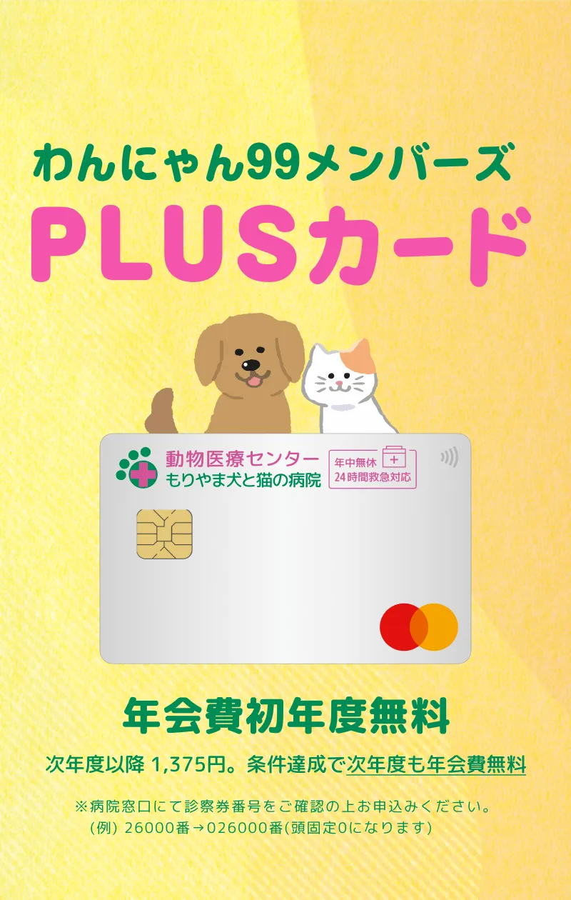 診察券一体型。わんにゃん99メンバーズPLUSカード。年会費初年度無料。次年度以降1,375円。条件達成で次年度も年会費無料