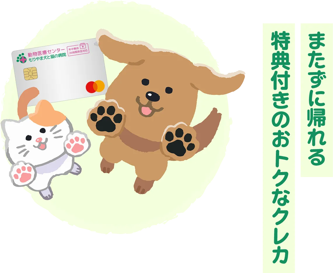 またずに帰れる特典付きのおトクなクレカ