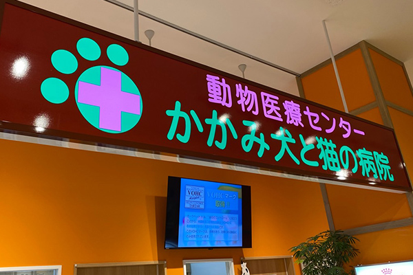 動物医療センターかかみ犬と猫の病院