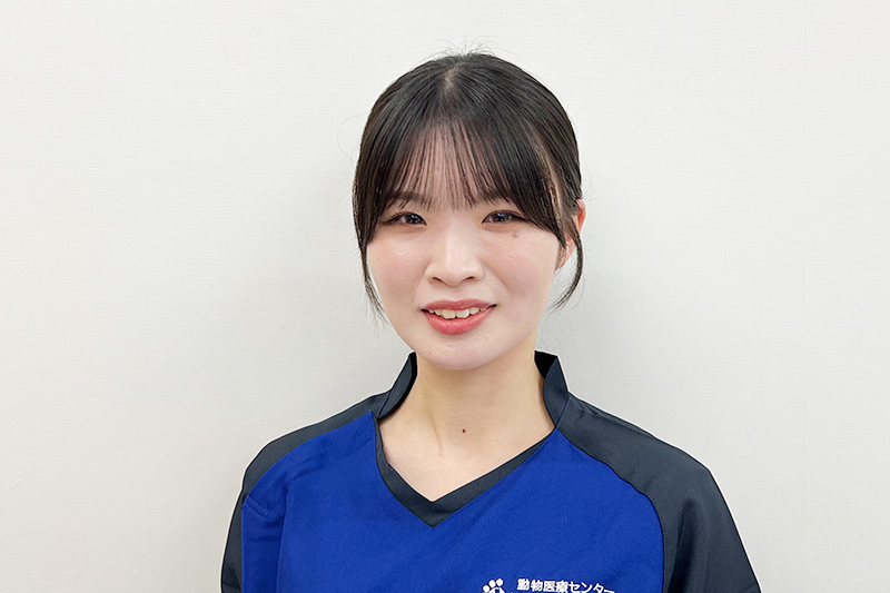 プロフィール